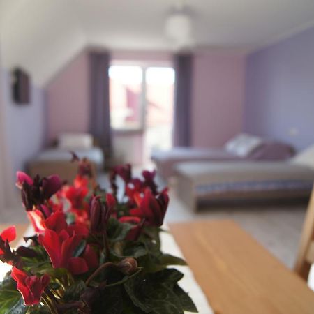 Villa Terra Прущ-Гдански Екстериор снимка