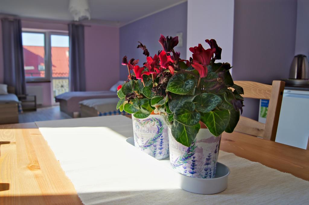 Villa Terra Прущ-Гдански Екстериор снимка